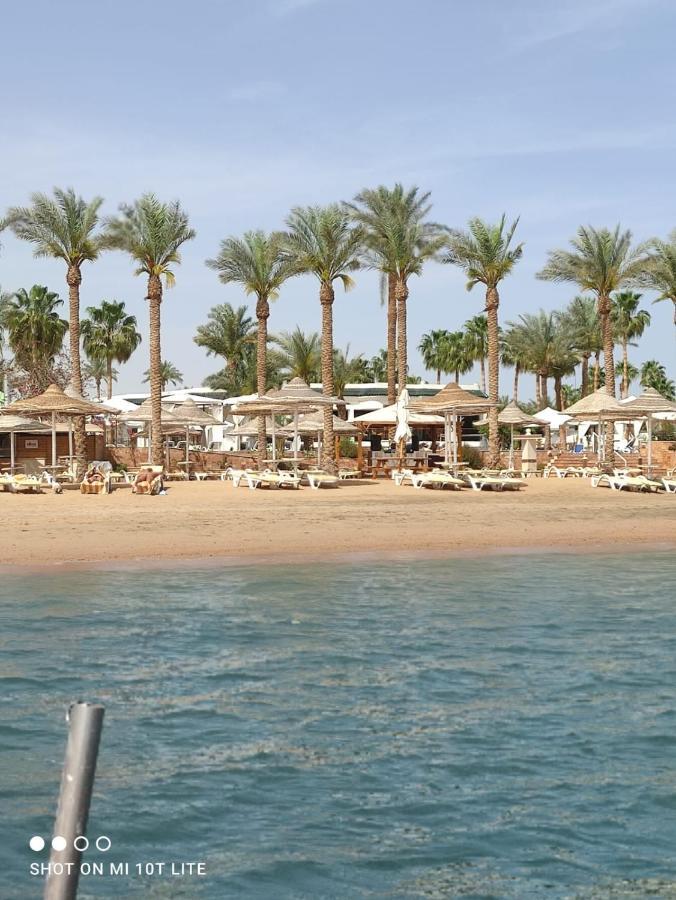 Seti Sharm Palm Beach Resort Families And Couples Only מראה חיצוני תמונה