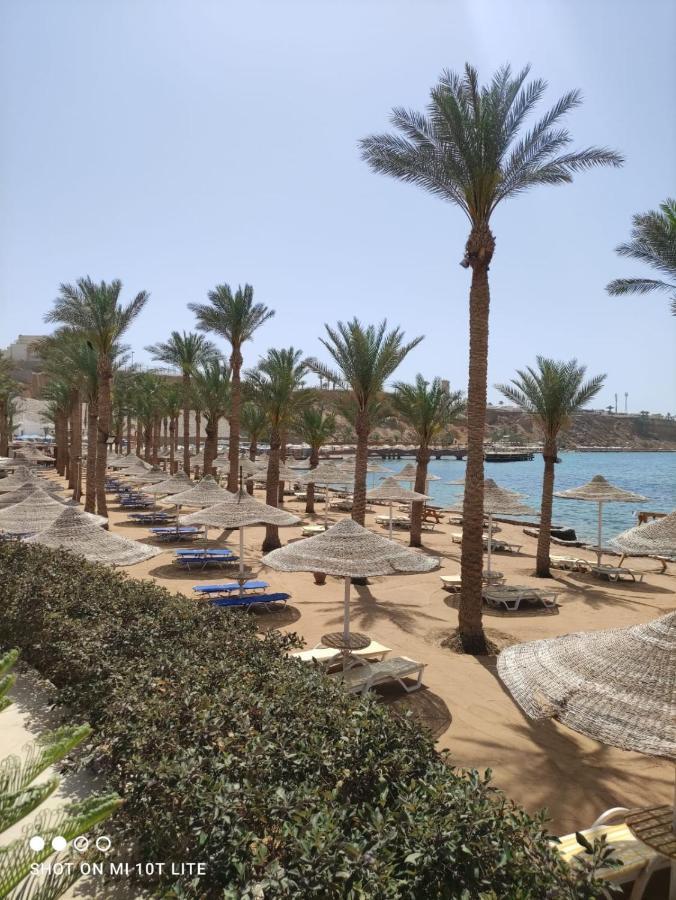 Seti Sharm Palm Beach Resort Families And Couples Only מראה חיצוני תמונה