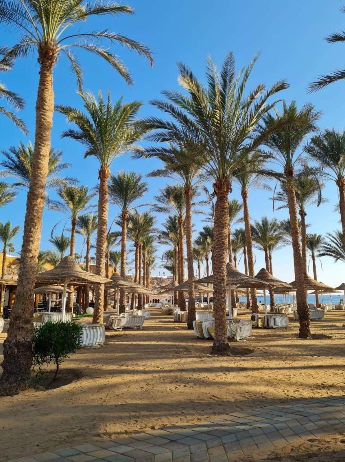 Seti Sharm Palm Beach Resort Families And Couples Only מראה חיצוני תמונה